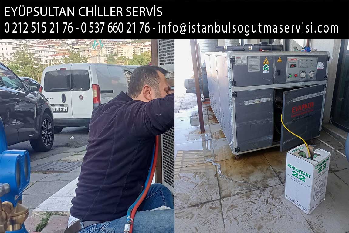 eyüpsultan chiller servis