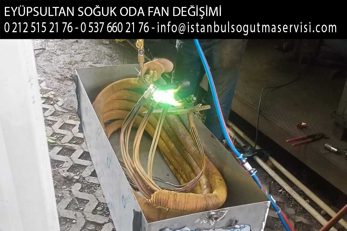 eyüpsultan soğuk oda fan değişimi